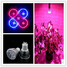 Small Red 85-265v Spectrum Gu10 Led Grow Light 5w Full Flowering - 3