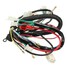 Quads Electric Wiring Harness Loom Chinese Start 50cc 70cc 90cc 110cc 125cc - 4