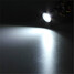 Dimmable Cool White Spot Lights 5w Gu5.3 Light Cob Mr16 100 - 10