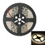 Warm 5w 300x5050smd 100 200lm White Light Led Strip Lamp - 2