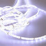 Dc12v Cool White 5m Zdm 50w Warm White Smd - 8