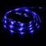 300x3528 Smd Rgb And Ac110-240v Transformer Led Strip Light - 8