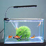 Water Blue Plant Led Fish Bulb Clip Light Lamp - 5