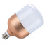 Shell Spot Lamp Light Bulbs E27 Led Globe Aluminum Rose Color - 4