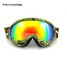 Glasses Anti-Fog Eddie Windproof Motorcycle Ski Goggles UV400 Fox - 3