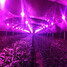 Full Greenhouse Hydroponics Spectrum Integrated Cover Led Grow Light Grow Led - 2