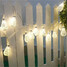 Plug Hollow Christmas Holiday Decoration Waterproof String Light Outdoor - 4