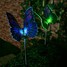 1-led Optic 2 Pcs Butterfly Colorful Light Lights Led Solar Light Fibre - 1