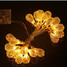 1m 1pc Led Home Waterproof Decorate String Light Outdoor - 3