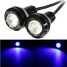 Car Motorcycle LED 18MM Eagle Eye Running DRL Tail Light Lamp 12V 3W Plate License - 2