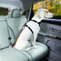 Cars Lead All Seat Belt Cat Seatbelt Pet Dog Clip Car Harness Universal Puppy - 1