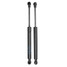 Shock BMW X5 2 PCS E53 Springs Lift Support Hood Struts Rod Prop - 1