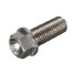 HEX Bolt X 1.25mm Titanium 90 110 Fine Flange M10 Head - 7