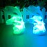 Double Colorful Led Dolphin Night Light Coway - 4