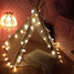 Plug Light Outdoor 10m Waterproof 100-led String Light Star Christmas Holiday Decoration - 1
