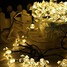 Christmas Solar Lamp 5m Strip Lights Halloween Decorative Lights Festive Energy - 6