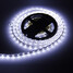 72w Cool White Light Led 12v 5m 100 300x5050smd Strip Lamp - 2