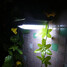 Outdoor Wall Light Light Solar Powered Lamp Led Lights Sensor - 1