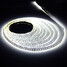 Led Strip Lamp Warm White 100 300x3528smd Red Yellow Pink - 5