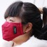Activated Carbon Antibacterial Dustproof Filter Face Mask PM2.5 - 6