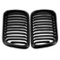 Style Front 323i Kidney Grille 318i BMW E36 - 2