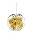 Globe Living Room Feature For Mini Style Bedroom Dining Room Others Modern/contemporary Glass Pendant Light - 1