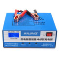 Pulse Lithium Battery 220W 200Ah Lead Acid 12V 24V Car Motorcycle Battery Charger