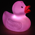 Color-changing Led Night Light Colorful Duck Creative