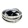 Yellow Red Warm White Smd 5m Led Strip Light Dc12v