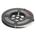 300x5630 5m Strip Lamp 120w Smd 100 Zdm White Light Led 12v