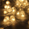 5m Outdoor Led Plug Star String Light 40-led