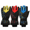 Waterproof Warm Ski Thermal Motorcycle Gloves Winter Male and Female Snow Snowboard