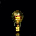 Silk A19 25w Edison Bubble Lamp Ball Bofa 85v-265v