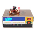 100AH Repair Type Electric 110V 12V 24V Battery Charger Intelligent Pulse