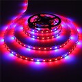 Led Grow Light Growing Spectrum Aquarium Full Led Strip Lighting