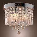 Luxuriant Flush Mount Lamps 100 Crystal