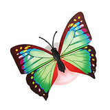 Night Light Random Color Pack Butterfly 10pcs