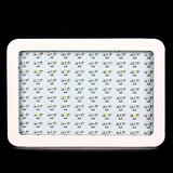 300w Full Spectrum Hot Grow Led Sale Quality
