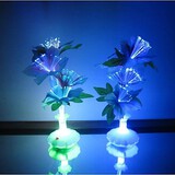 Colorful Optical Flowers Fiber Led Night Light 100 Vase