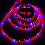 Led Waterproof 5m House Strip Flexible Flowering Dc12v