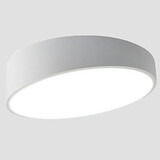 Warm Cool White Simplicity 220-240v Ceiling Color Lamps