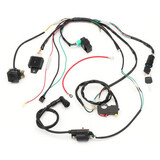 Wiring Harness Loom 50cc 70cc 90cc 110cc 125cc CDI Coil Rectifier Solenoid ATV Quad Dirt Bike