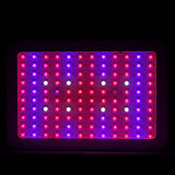 Chip Plants Double 100 Indoor And Led Grow Light High Spectrum