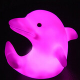 Colorful Led Dolphin Home Decoration Acrylic Creative Light Color-changing