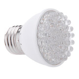 E27 Led 100lm Red Garden Lamp