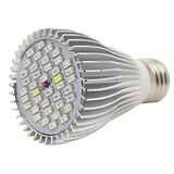 Led Grow Light Lamps 30w Grow Grow Led Red Light