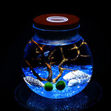 Plants Landscape Ball Present Led Birthday Lamp