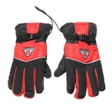 Male and Female Warmer Heated Gloves Motorcycle Electric Waterproof