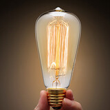 Ecolight Edison Bulb Bulb Retro Warmwhite 40w Ac220