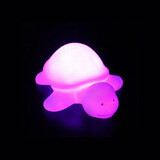 Home Decoration Night Light Creative Beautiful Colorful Color-changing Acrylic